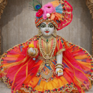 Vrindavan Phool Shringar Multicolor Net Designer Poshak Pagdi for Laddu Gopal